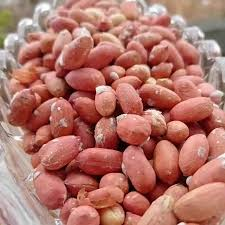 تصویر 1 از بادام زمینی گلستان سرکه ای تازه و خوش خوراک روزانه